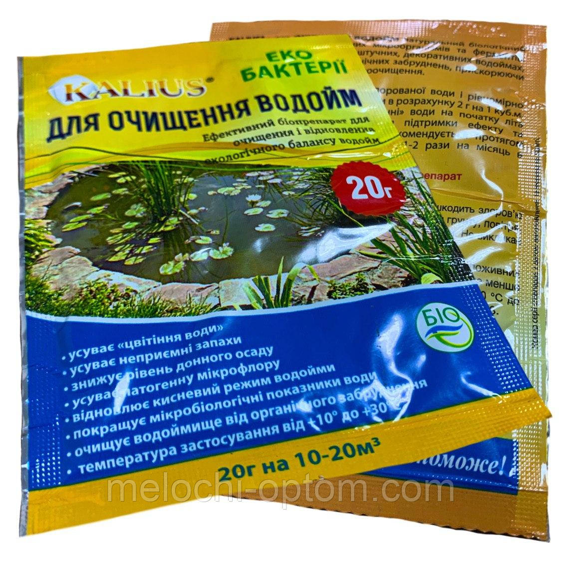 ЕКО БАКТЕРІЇ для ОЧИЩЕННЯ ВОДОЙМ KALIUS 20г