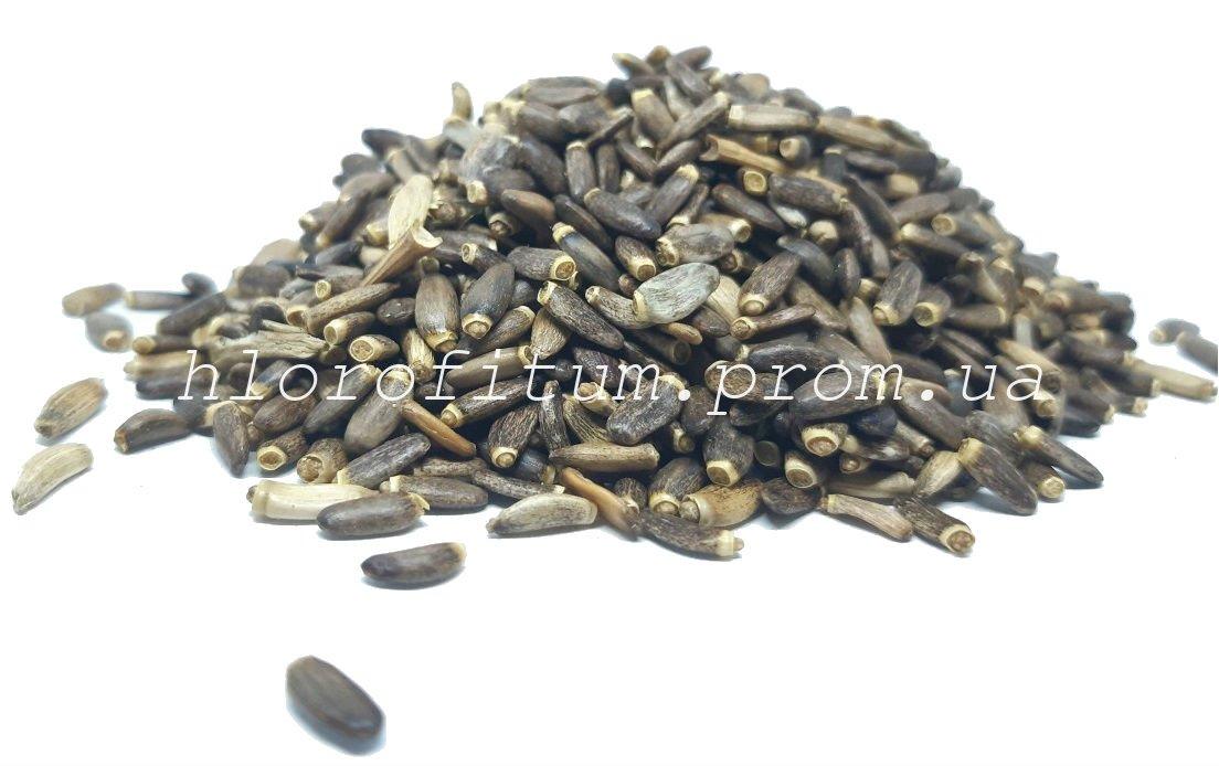 Насіння розторопші 500 грамів (Carduus marianus), фото 1