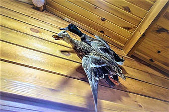 Возможна полная комплектация дома 