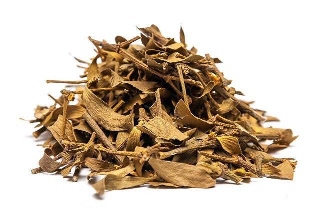 Омела біла 50грамів (Viscum album)