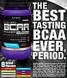 Ultimate Nutrition BCAA powder 12,000 457 грамм, фото 3