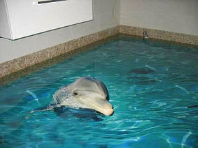 3D наливной пол из эпоксидной смолы