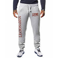 Спортивные штаны Leone Legionarivs Fleece Grey S