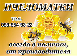Бджоломатка української степної породи неплідна 2021