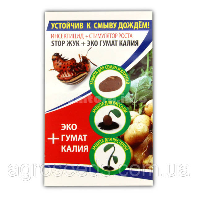 Ранетки эротикалық бейне чат