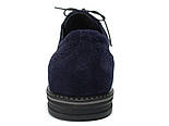 Туфлі броги сині замшеві чоловіче взуття Rosso Avangard Romano 2 Blu Vel демісезонні, фото 5
