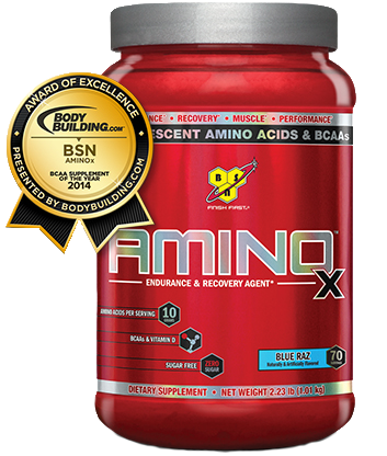 BSN Amino X (1000 гр.)