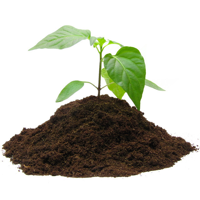 Субстрати та професійні добрива