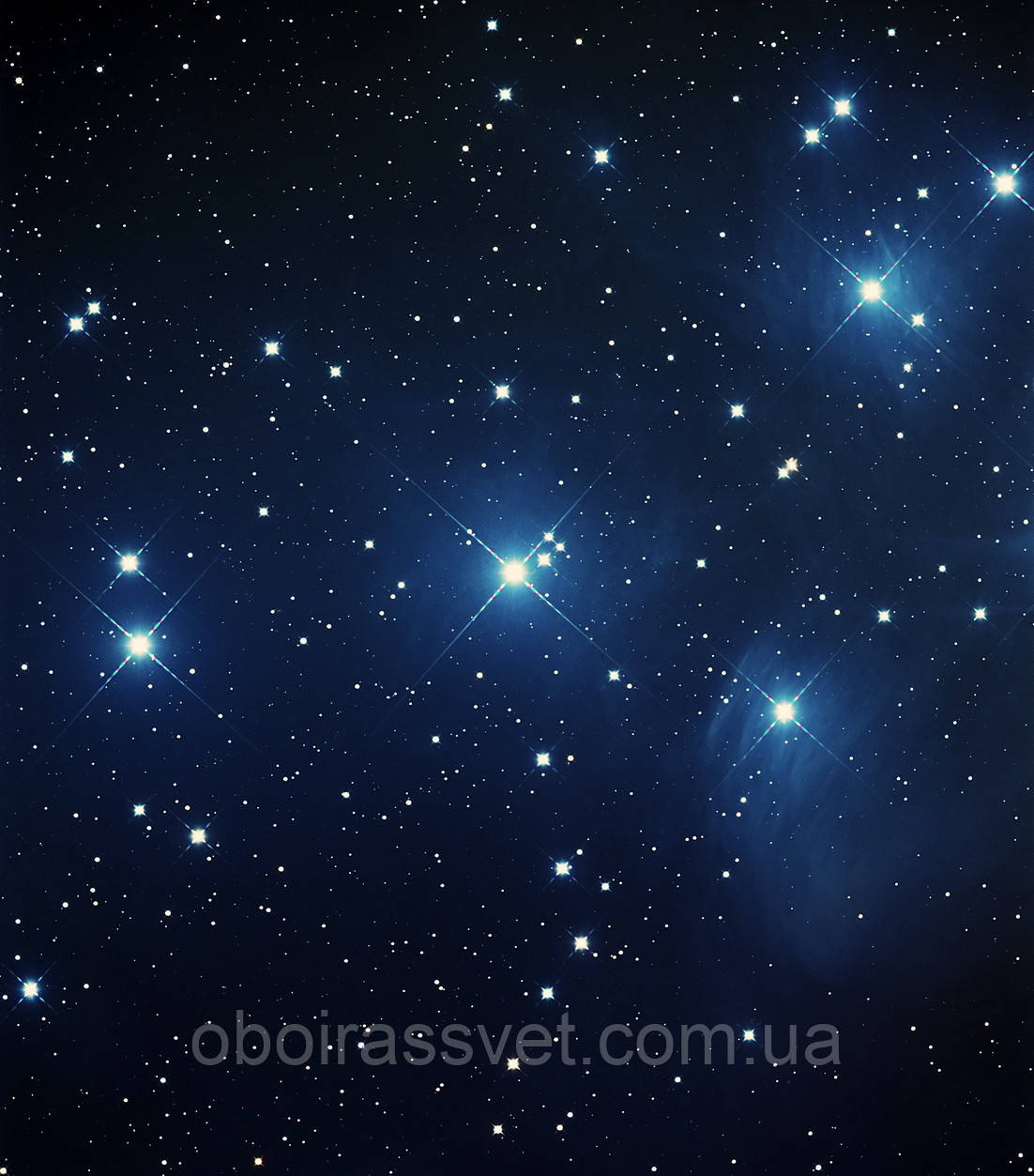 Фотошляхи вінілові на флізеліновій основі, що миють