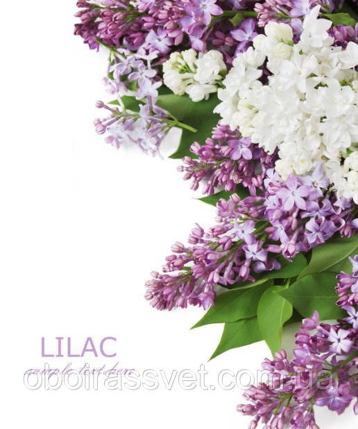 Фотошляхи вінілові на флізеліновій основі, що миють