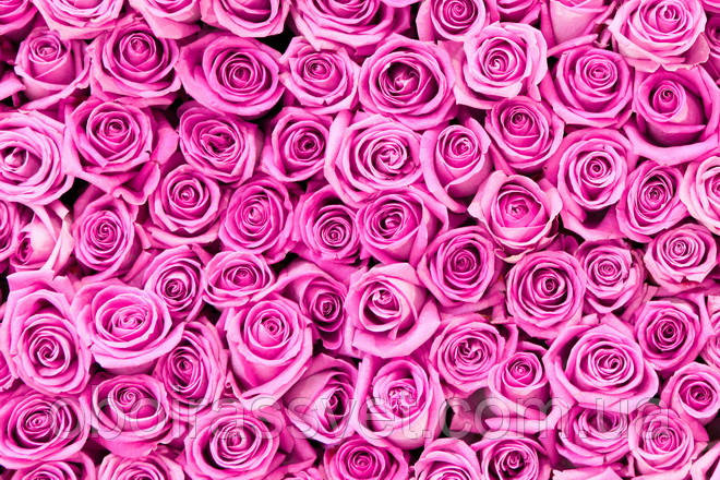 Фотошляхи вінілові на флізеліновій основі, що миють