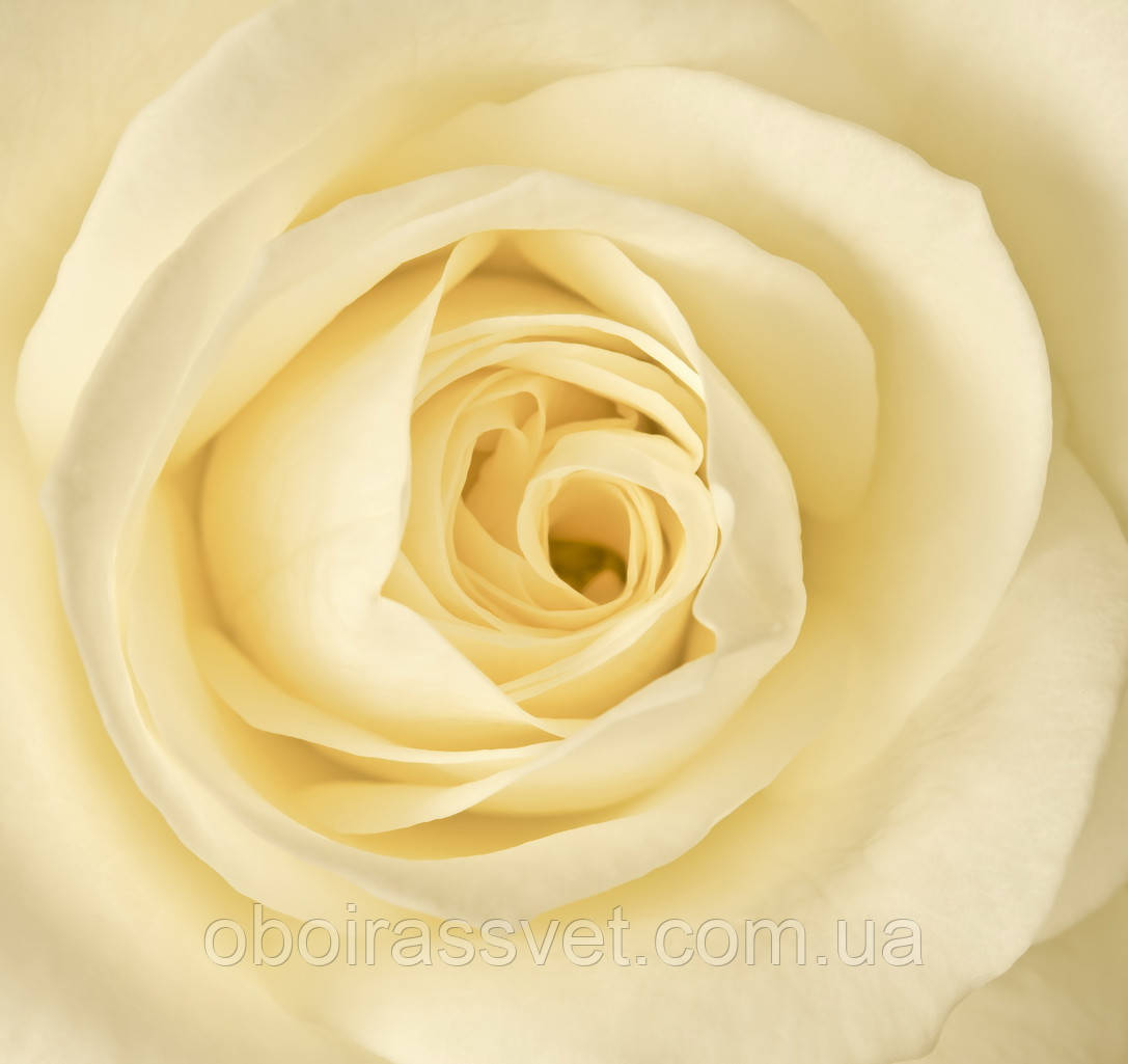 Фотошляхи вінілові на флізеліновій основі, що миють