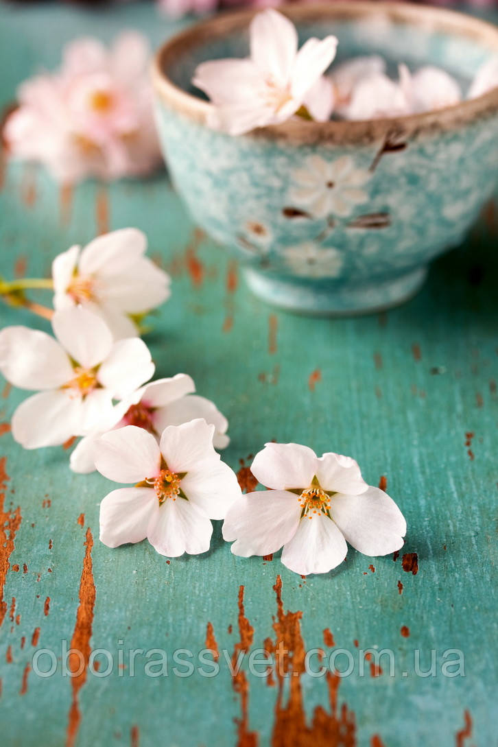 Фотошляхи вінілові на флізеліновій основі, що миють