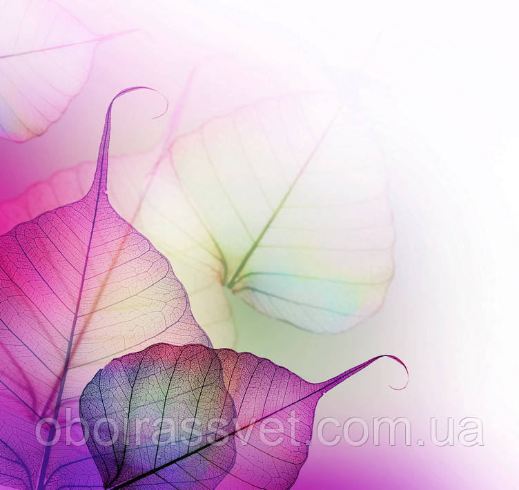 Фотошляхи вінілові на флізеліновій основі, що миють