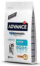 Сухий корм для кішен ADVANCE Kitten 10 кг