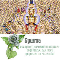 Кушта - рослина природи Духу