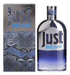 Roberto Cavalli — Just Cavalli Him (2013) — Туалетна вода 90 мл