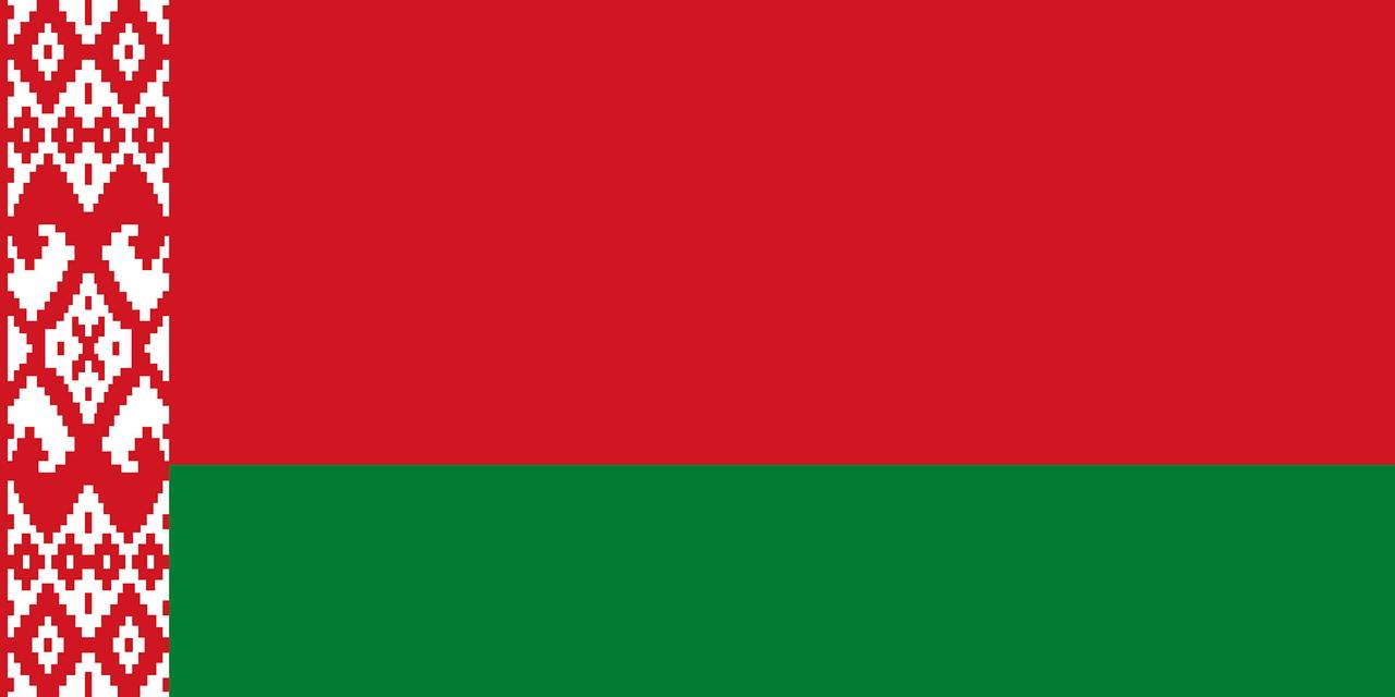 Флаг Беларуси 90х150 см, флаг Беларуссии, цена 300 грн - Prom.ua  (ID#963773189)