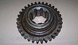 Шестерня 151.37.311-2Б (Z=33, d=8) коробки передач трактора Т150, фото 2