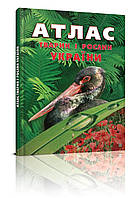Талант Енциклопедії: Атлас тварин і рослин Укр (У)