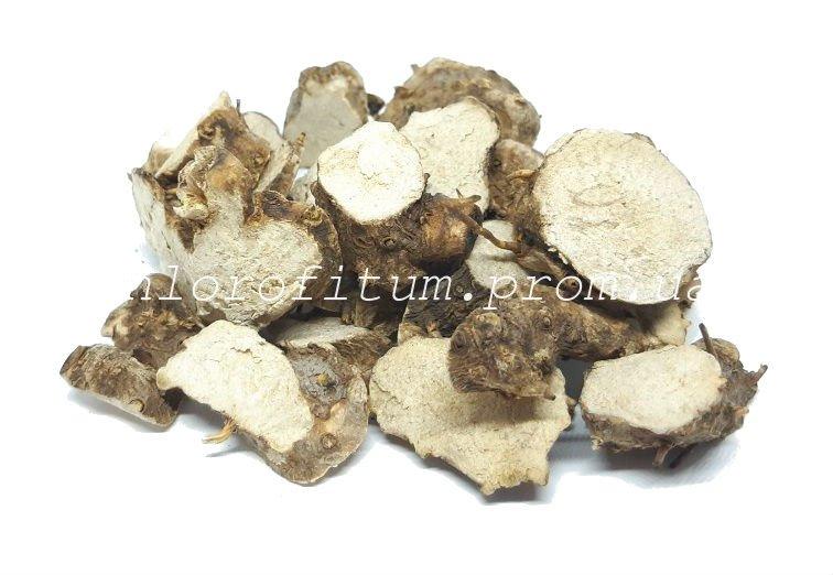 Діоскорея 100 грамів (Dioscorea caucasica), фото 1