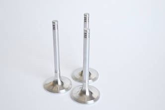 Впускной клапан на TD226B Deutz (12159606)