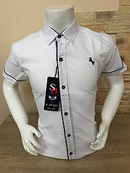 Дитяча біла сорочка з коротким рукавом, 7-12 років