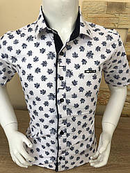 Дитяча сорочка з коротким рукавом Paul Jack з принтом (2-7)