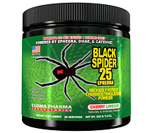 Предтренировочний комплекс Black Spider Powder 210 g