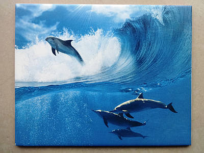 Фотоплитка - купити недорого оптом на Prom.ua: ціни, акції та відгуки ...