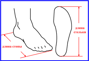 Як правильно підібрати розмір взуття