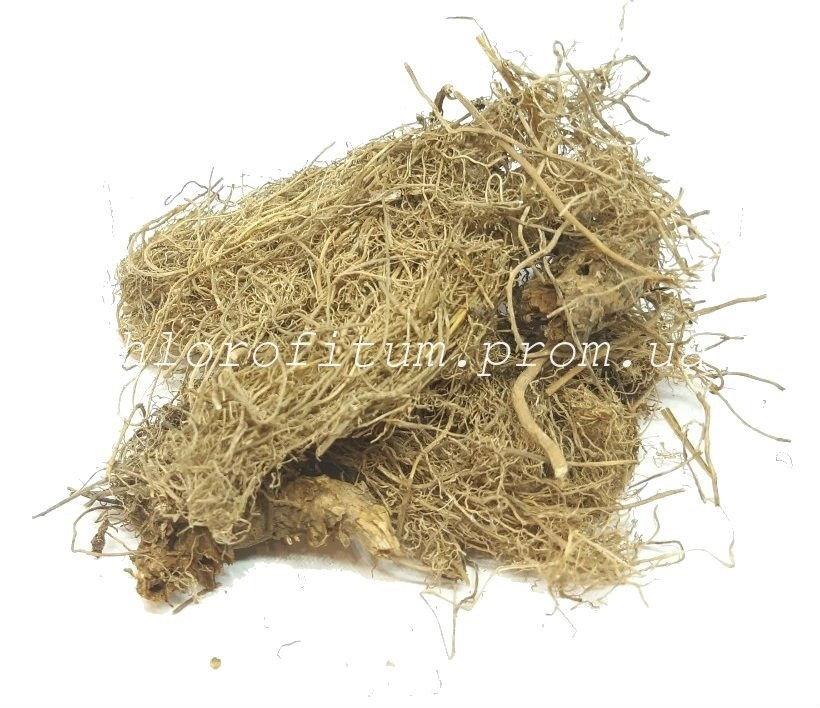 Корінь Синюхи блакитний 50 грамів, фото 1