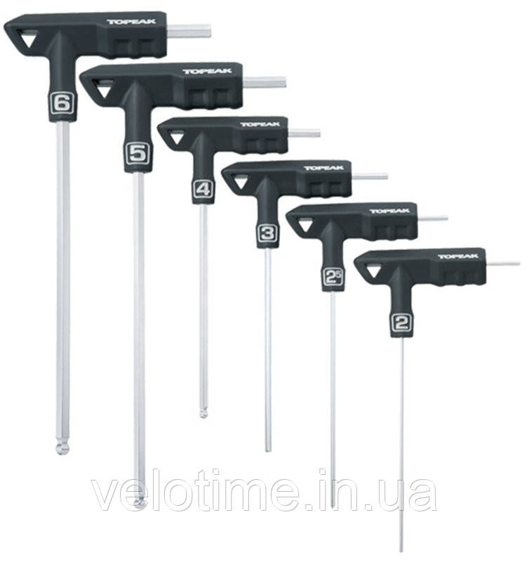 Набір шестигранників Topeak T-Handle DuoHex Set (сріблястий)