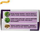 Аюр Ананда (Holistic Herbalist) — баланс центральної нервової системи, 60 таблеток, фото 3