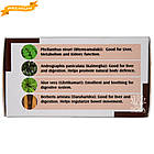 Аюр Нормалив (Holistic Herbalist) - природна підтримка печінки, 60 таблеток, фото 4