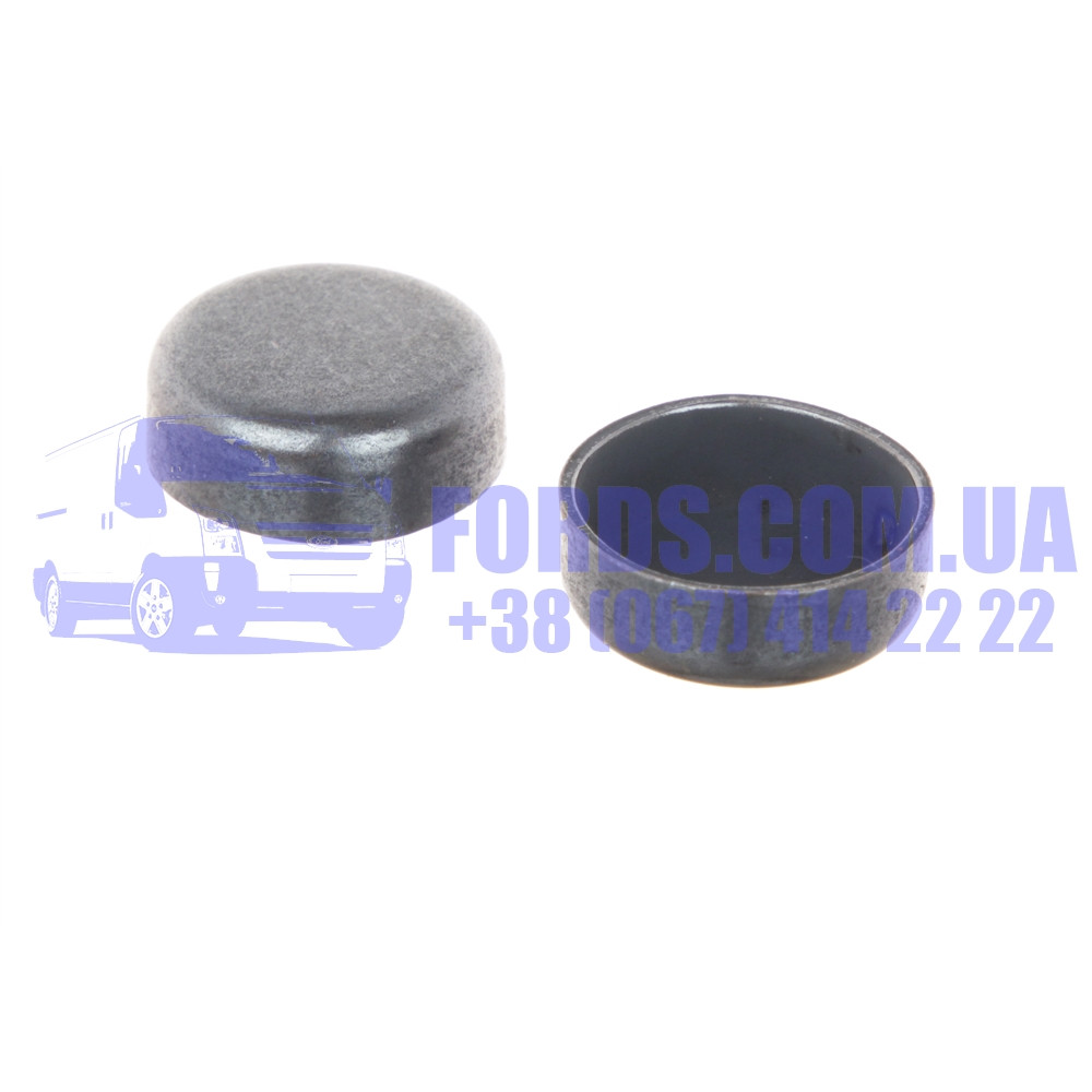 Заглушка блока двигателя FORD (Ø20MM) (1256456/3M5Q6024AA/ES43024) DP ...
