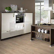 Wineo 400 DLC00109 Compassion Oak Tender замкова вінілова плитка DLC Wood