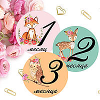 Baby Stickers, Наклейки для домашньої фотосесії №29