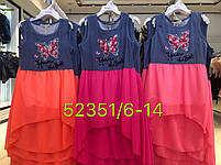 Сукня для дівчаток оптом, Seagull, 6-14 років, № 52351, фото 2