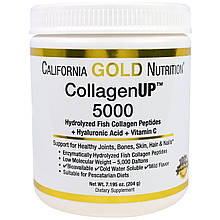Риб'ячий колаген, California Gold Nutrition collagenup 206g