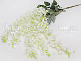 Гліцинія, біла. 60 см. (5 гілок), фото 5