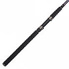Спінінг короповий Weida Black Arrow 100-300 g 2,7 м, фото 3
