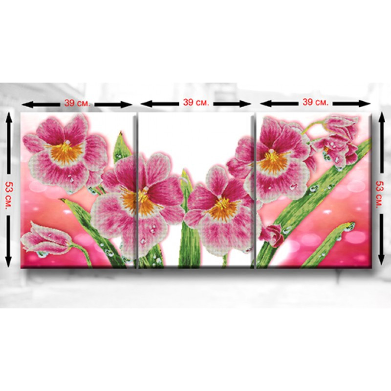 Схема для вишивання бісером Триптих Орхідеї  ТМ9