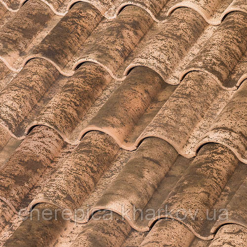 Керамічна черепиця Tejas Borja TB-10 TECH Edetania, фото 1