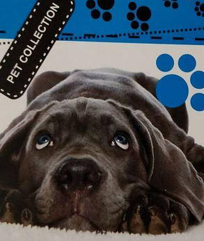 Блокнот біле тло, А6 верх. пружина, 50 аркушів офсет, клітинка "Pet Collection", обкладинка м'яка 139001 KNZ, фото 1