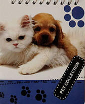 Блокнот біле тло, А6 верх. пружина, 50 аркушів офсет, клітинка "Pet Collection", обкладинка м'яка 139001 KNZ, фото 4