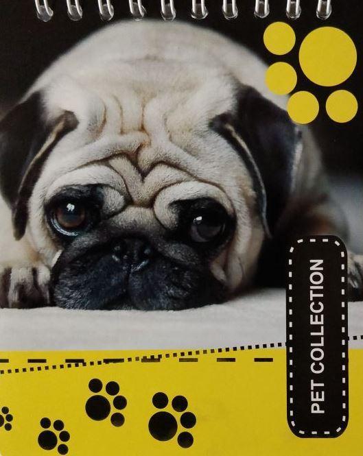 Блокнот кольоровий фон, А6 верх. пруж., 50 листів офсет, клітка, "Pet Collection", обкладинка м'яка 139002 KNZ