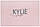 Набір косметики Kylie Jenner (тіні, хайлайтеры, пігменти, матові помади) (рожевий), фото 2