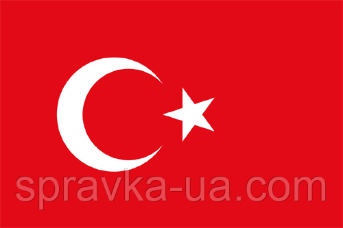 Довідка про несудимість в Україні для жителів Туреччини