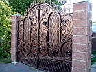 Ковані ворота з хвіркою, фото 2